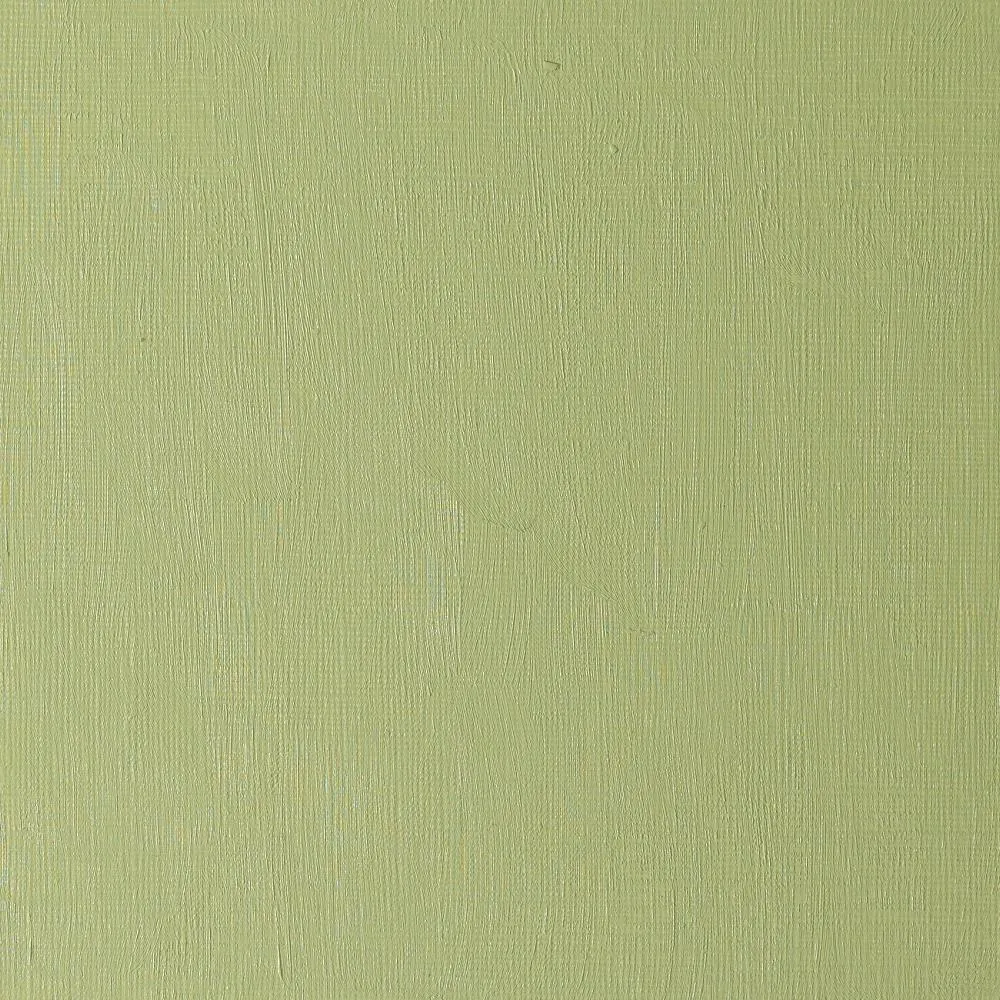 Artists' Oil Colour - Sap Green