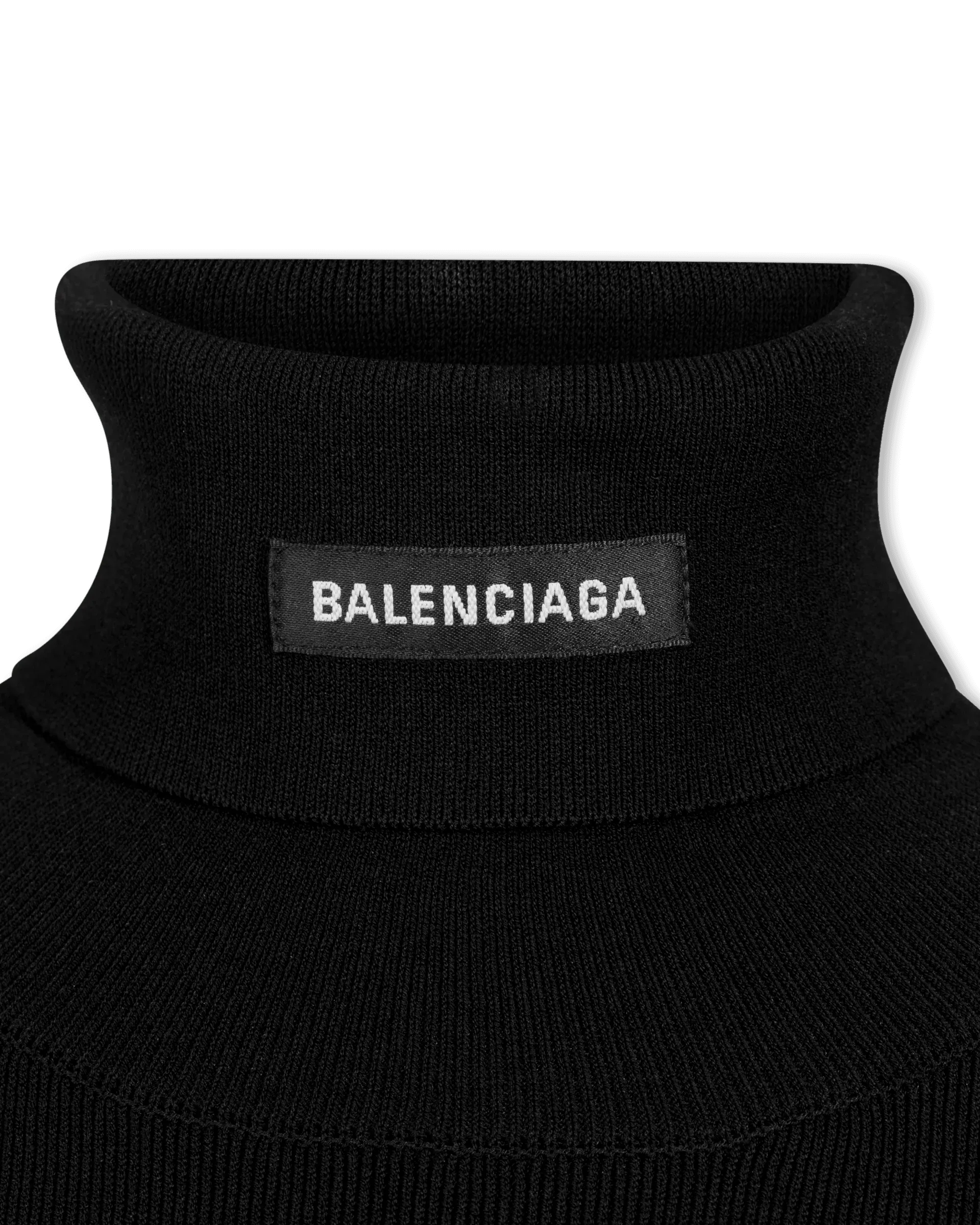 Fitted Viscose Knit Turtleneck Sweater