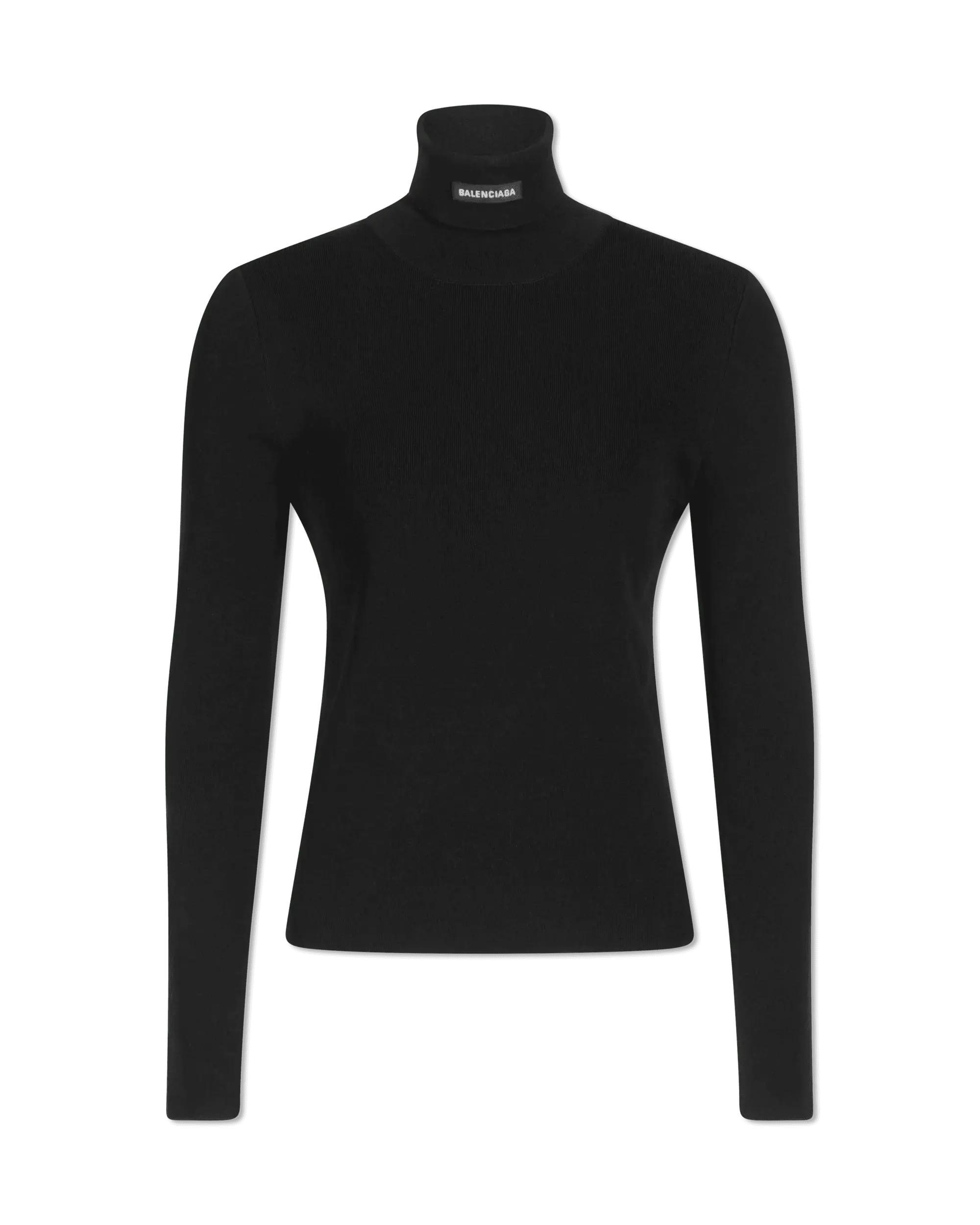 Fitted Viscose Knit Turtleneck Sweater