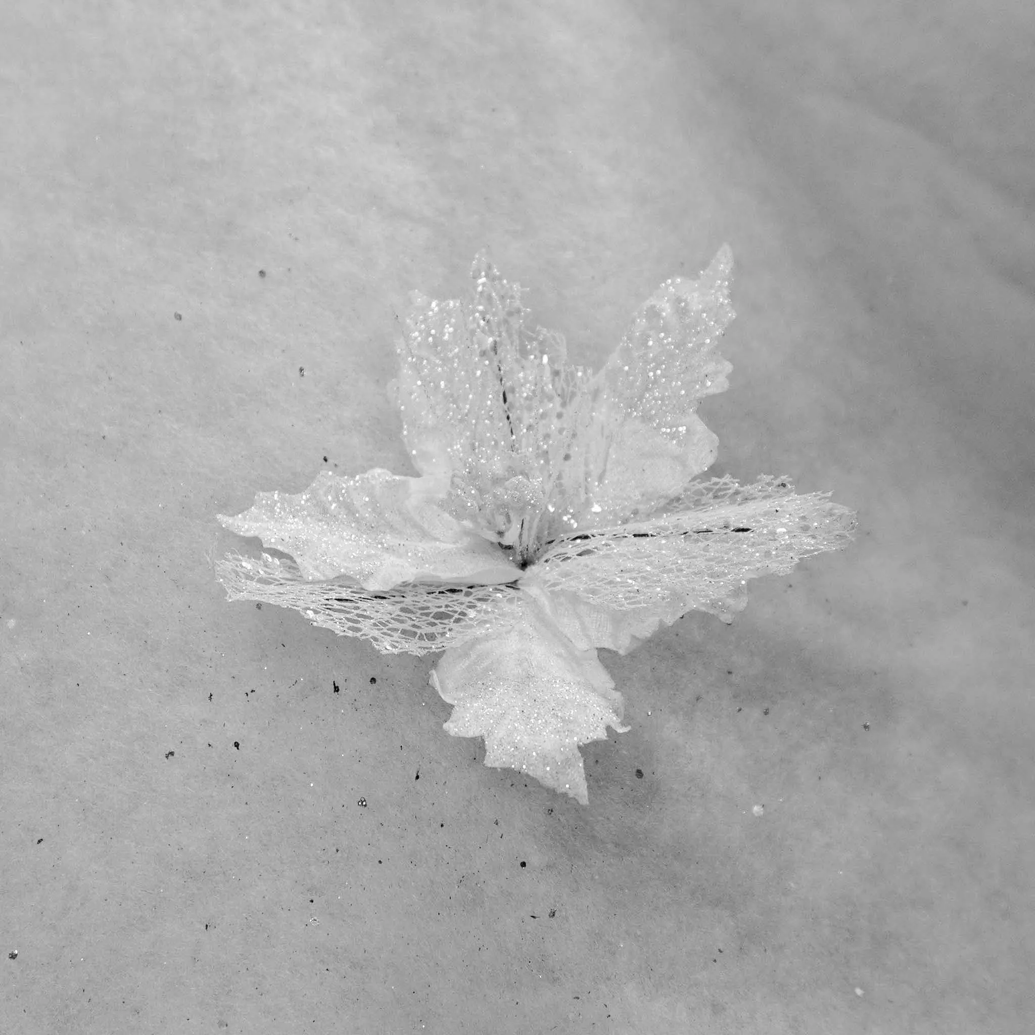 Flower with Glitter Petals