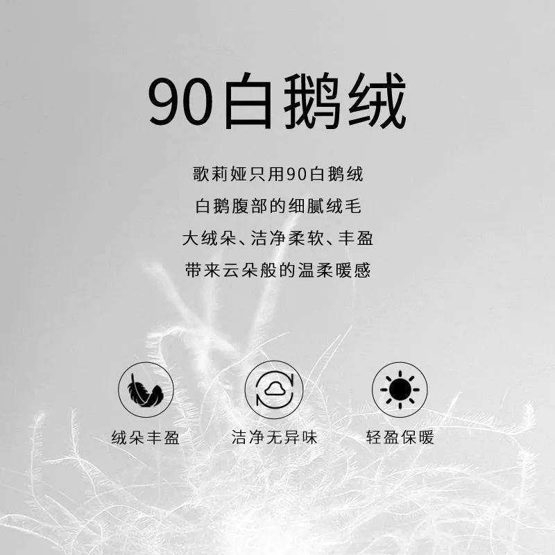 Hooded Long Goose Down Jacket