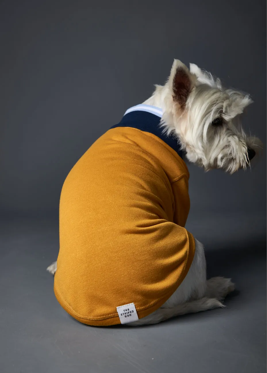 Mustard Sweater with Striped Neckline and Cuffs CARSON