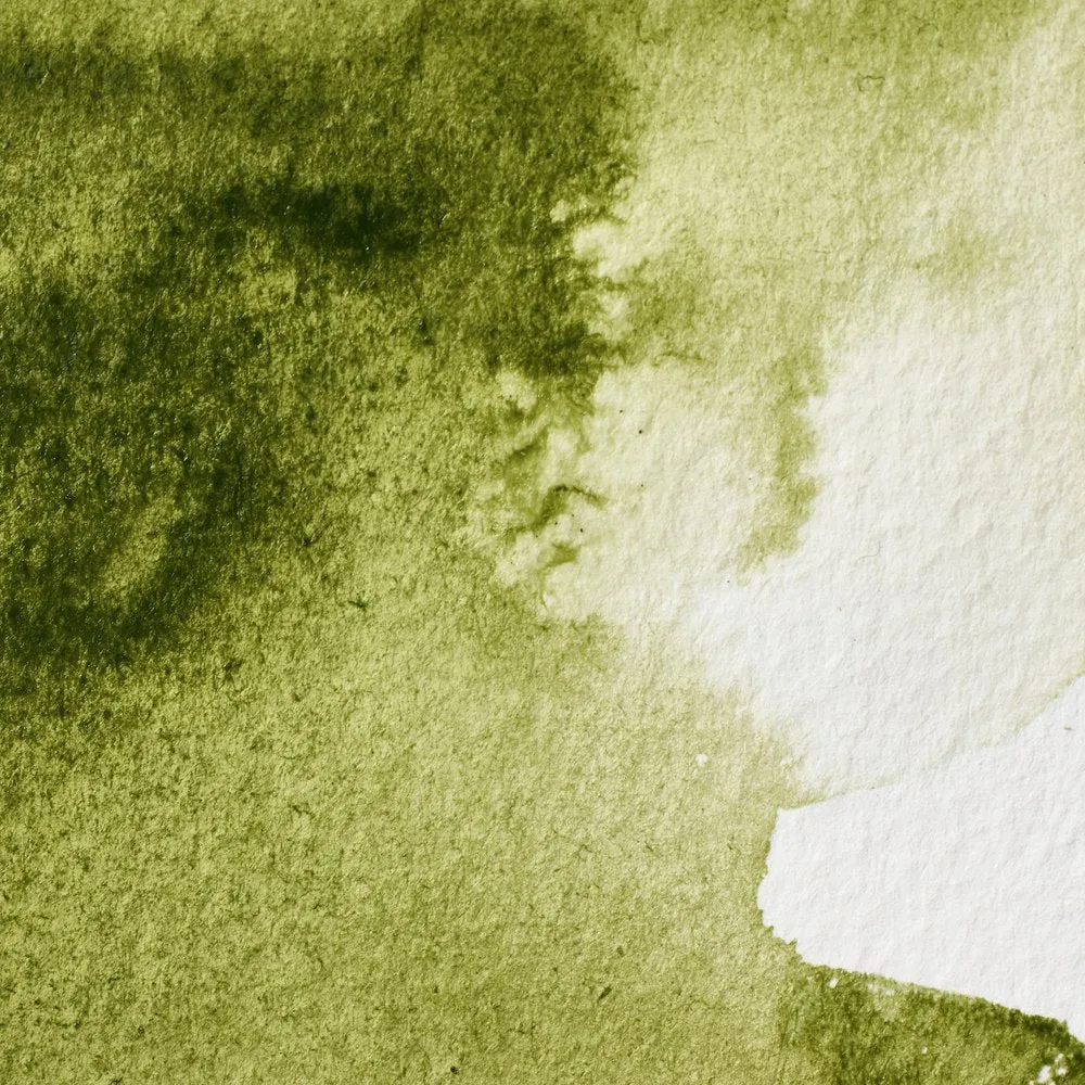 Professional Watercolour - Olive Green