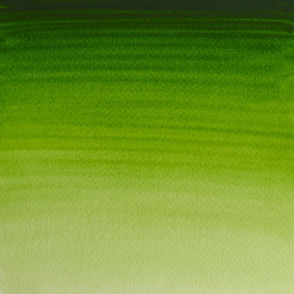 Professional Watercolour - Permanent Sap Green