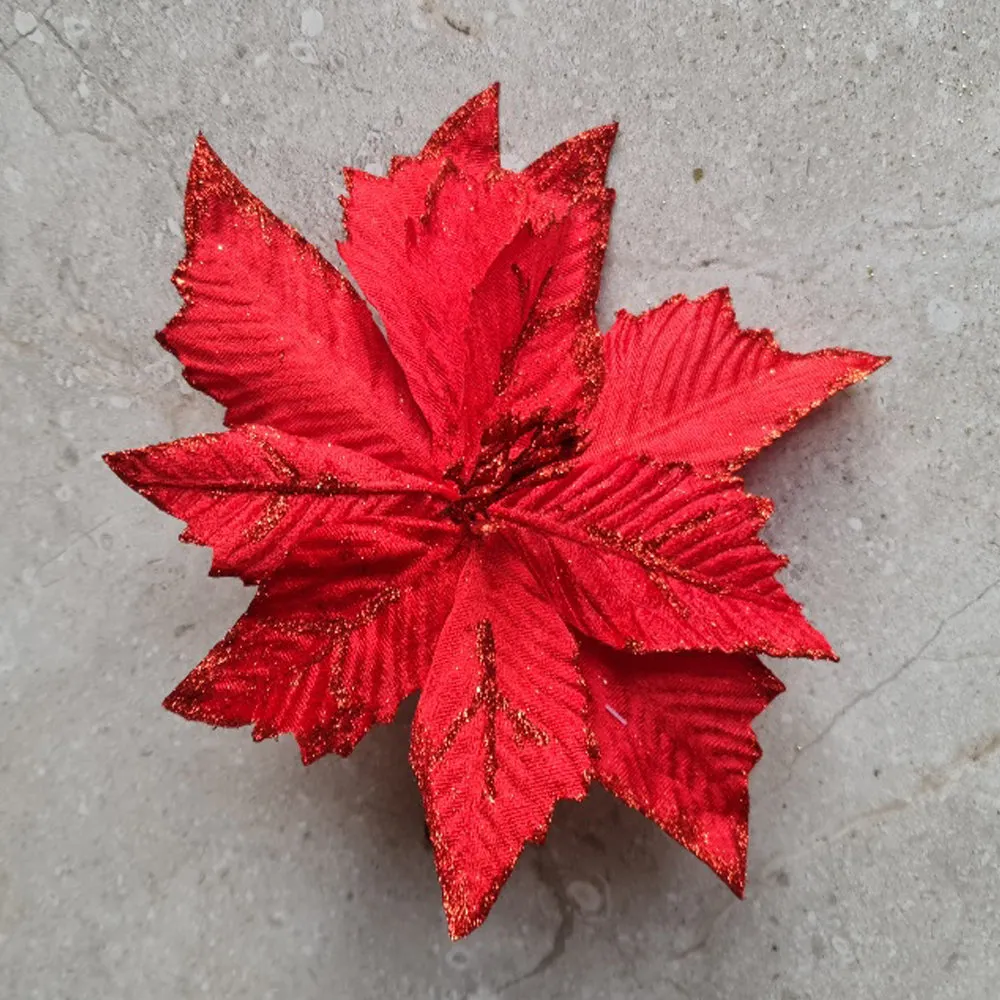 Red Poinsettia