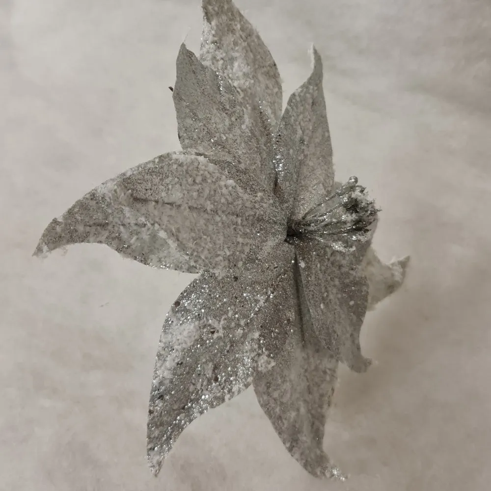 Silver Poinsettia