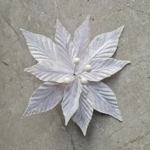 Silver tipped white flower